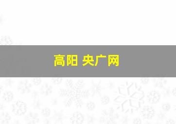 高阳 央广网